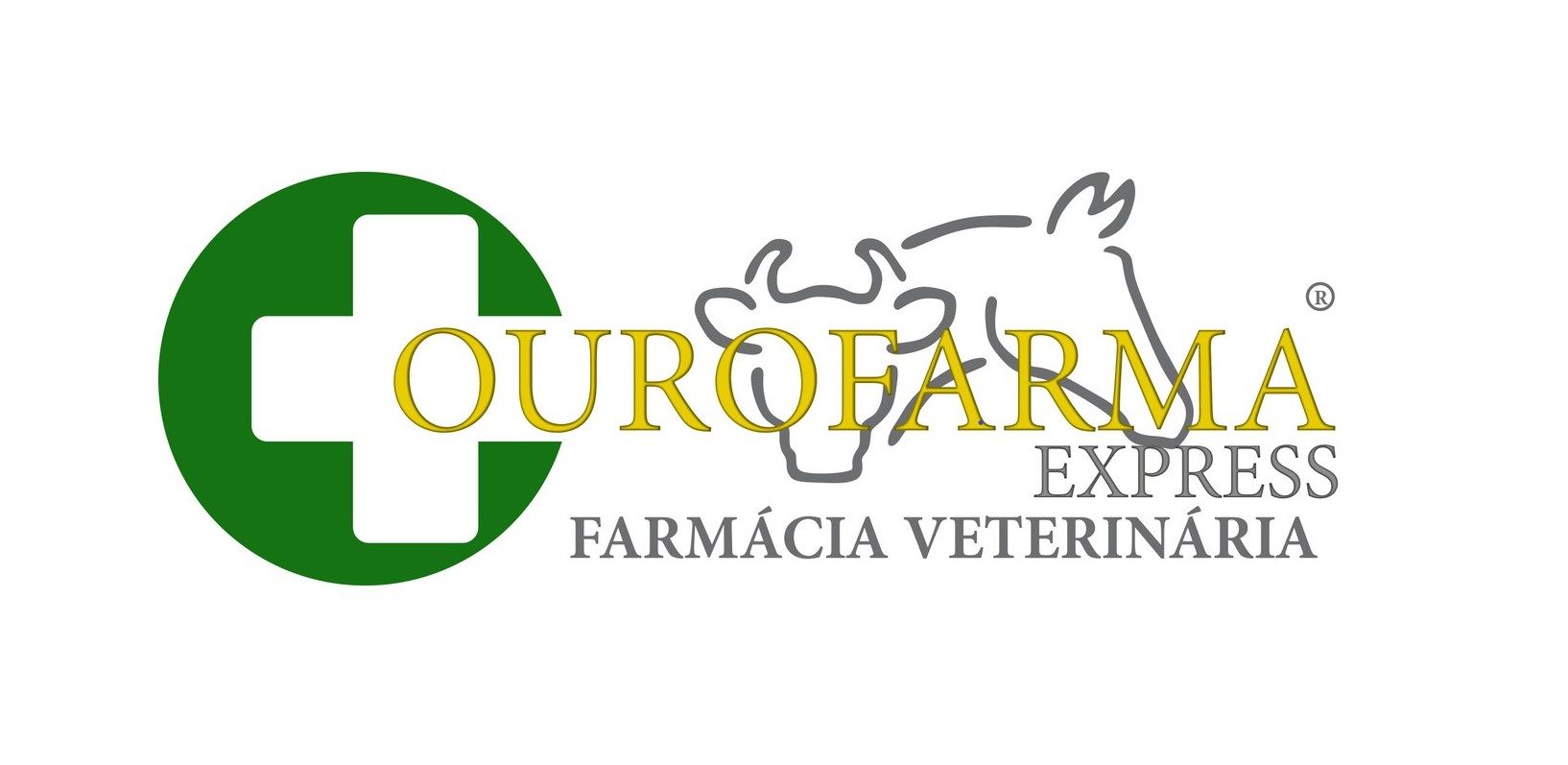 Meloxicam Equinos Gel – Ouro Farma Express