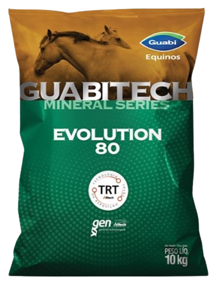 Evolution 80 – Ouro Farma Express